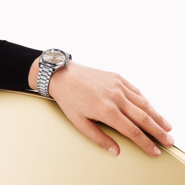 OMEGA Seamaster Aqua Terra Shades 38mm Sandstone Silver Dial Watch - Image 3