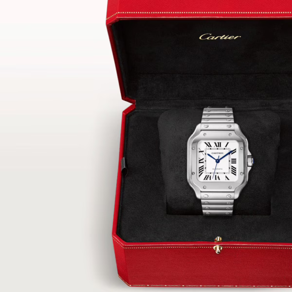CARTIER SANTOS Classic Silver 35mm - Image 5