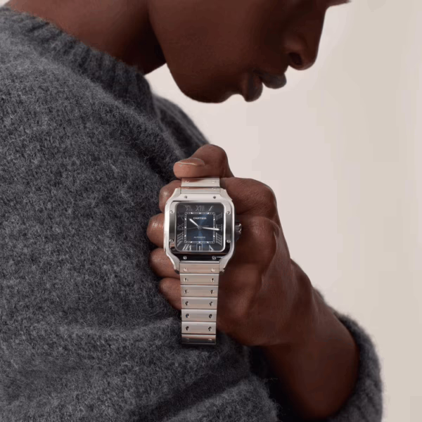 CARTIER SANTOS WSSA0030 BLUE 39.8mm - Image 6