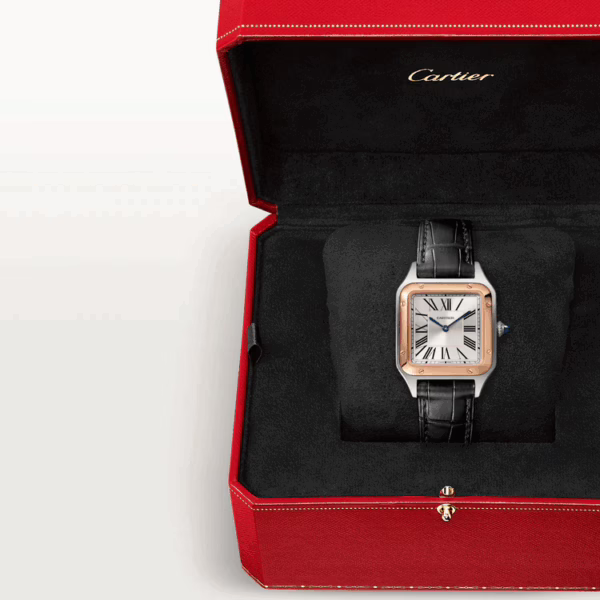 CARTIER SANTOS-DUMONT Rose Gold MIx 43.5mm - Image 8