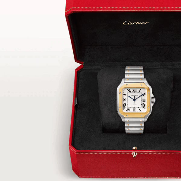 CARTIER SANTOS Gold Mix 39.8mm - Image 11