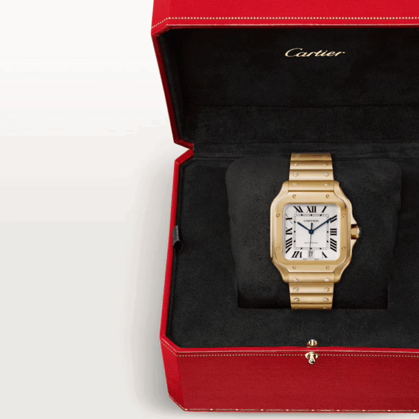CARTIER SANTOS Gold 39.8mm - Image 8
