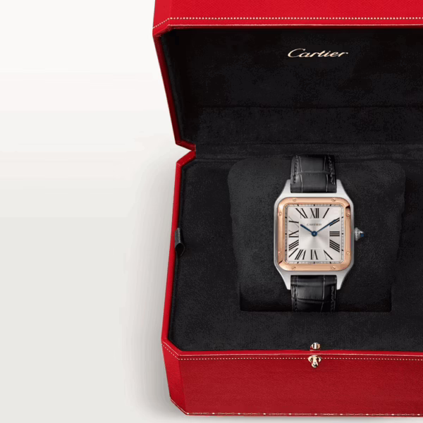 CARTIER SANTOS-DUMONT Rose Gold Mix 46mm - Image 4